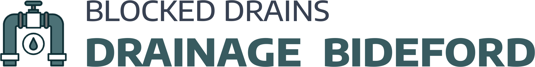 website logo